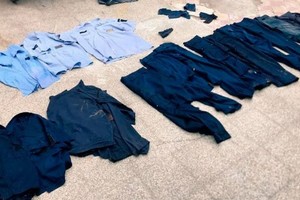 ELLITORAL_349777 |  Gentileza