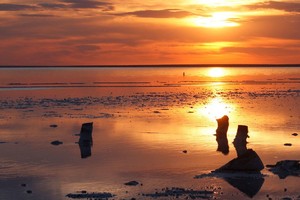 ELLITORAL_341514 |  Gentileza Imagen ilustrativa.