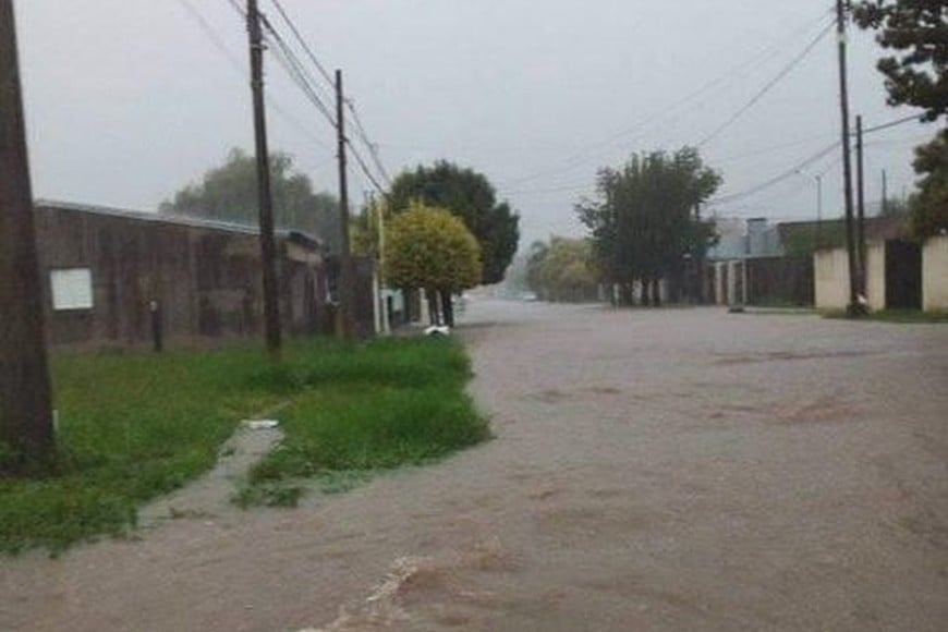 ELLITORAL_365363 |  Gentileza