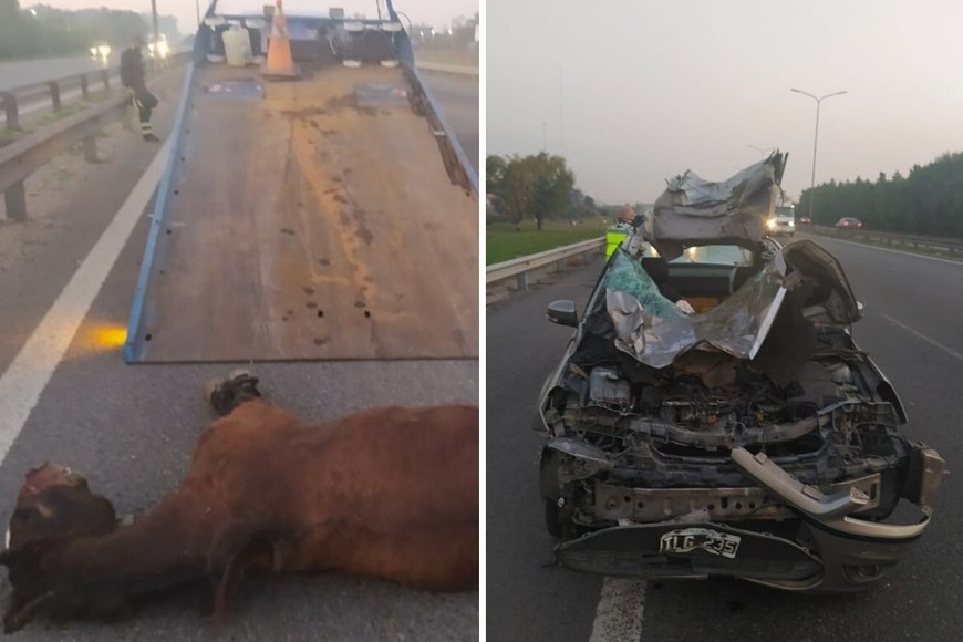 ELLITORAL_307286 |  @AlertasTransito