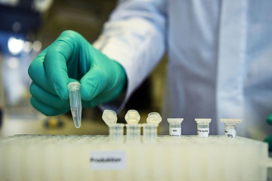 ELLITORAL_350837 |  Archivo