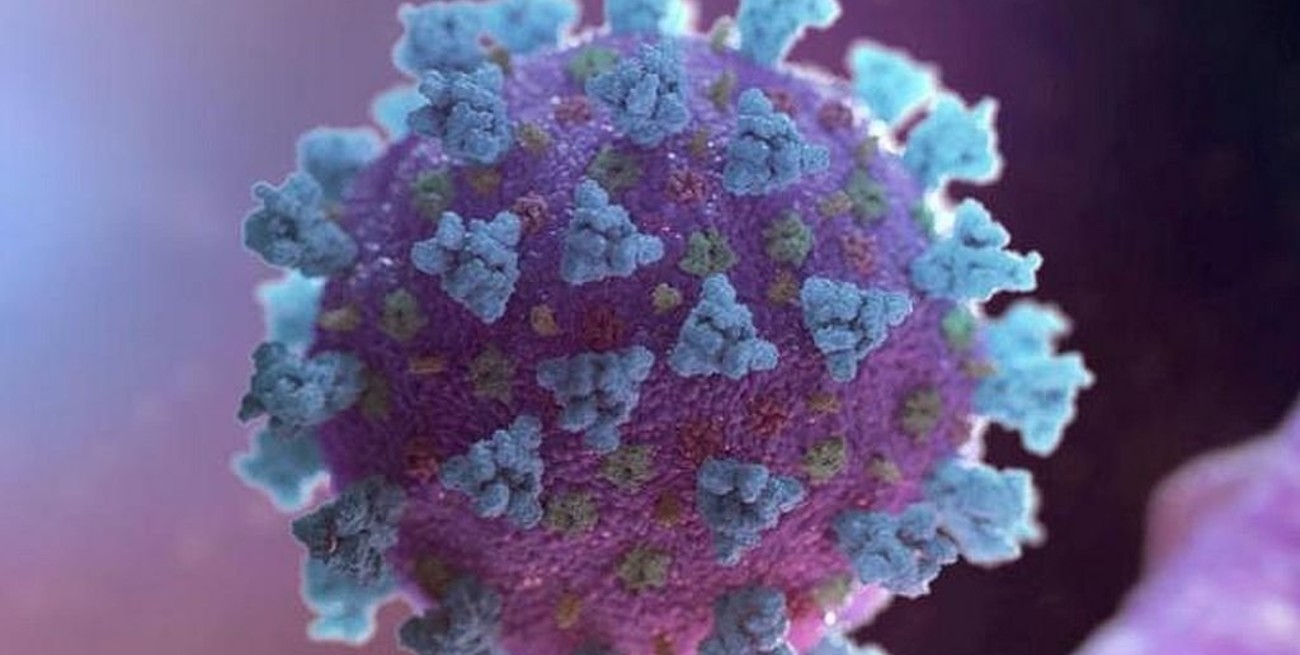 Coronavirus: prevalece la variante Delta, pero los científicos ya observan a Lambda y Mu
