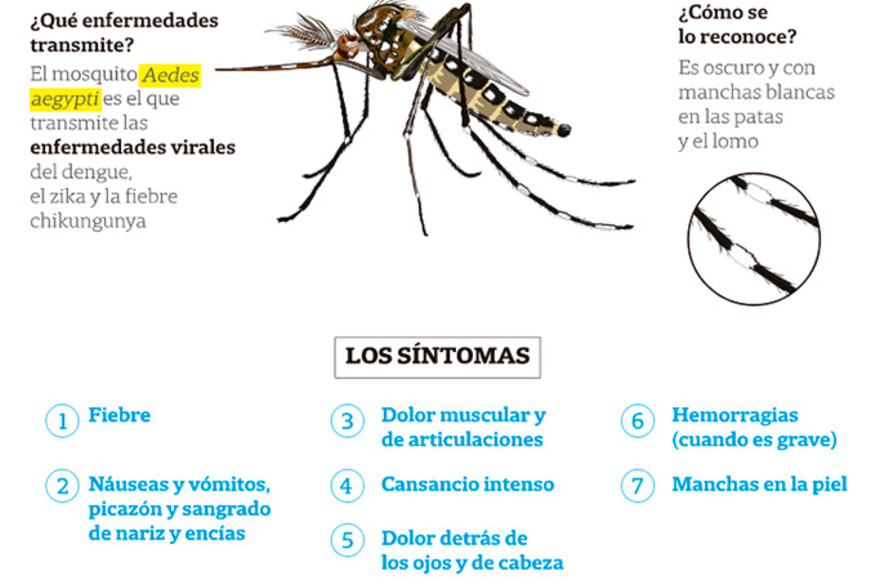 ELLITORAL_336537 |  Gentileza