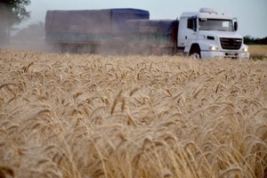 ELLITORAL_350272 |  Archivo El Litoral