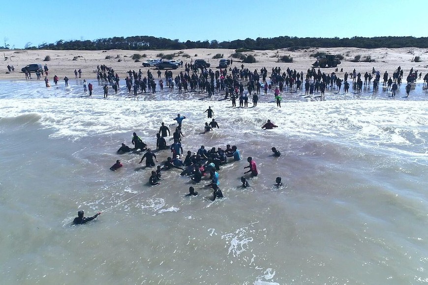 ELLITORAL_262813 |  Prensa Mundo Marino