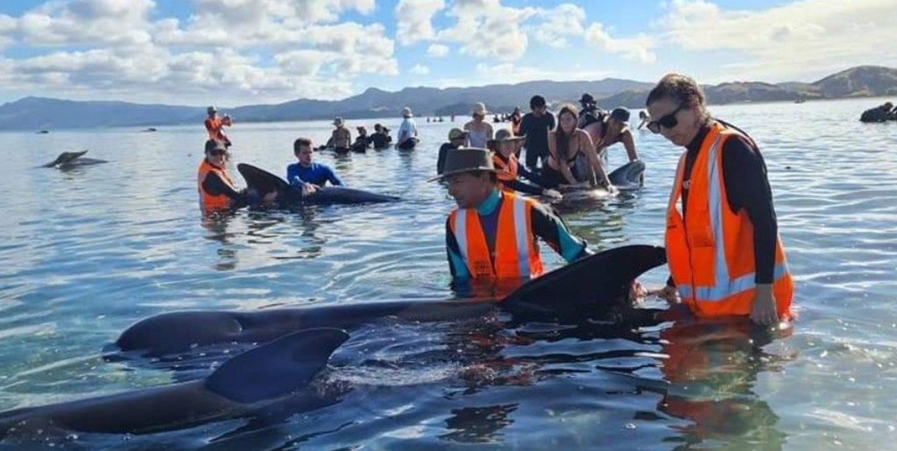 Quedan varadas decenas de ballenas en Nueva Zelanda