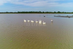 Fernando Nicola Buscan realizar un ordenamiento territorial de los humedales y una categorización de sus usos.