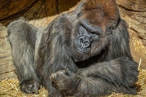 ELLITORAL_352247 |  AP