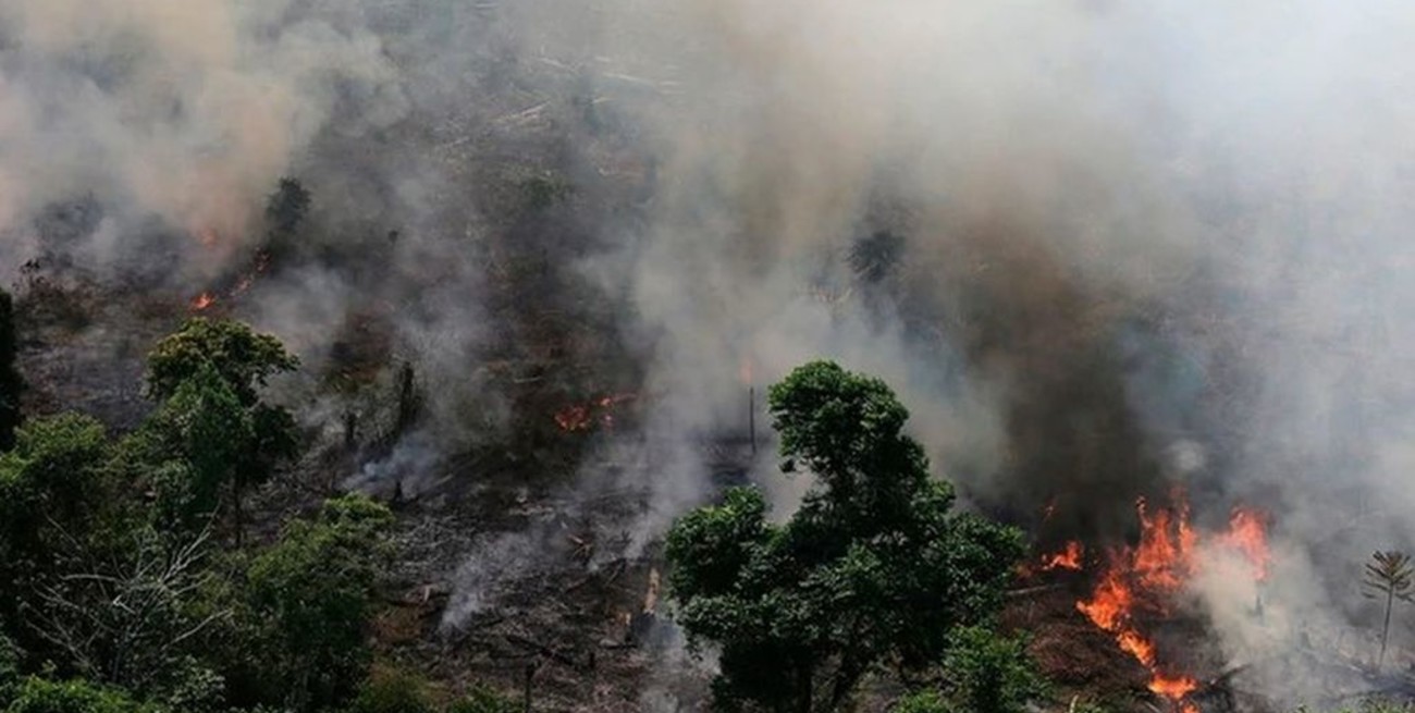 Más de 8 millones de personas firmaron peticiones en la web para salvar el Amazonas
