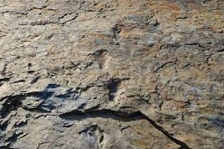 ELLITORAL_307098 |  Captura de pantalla