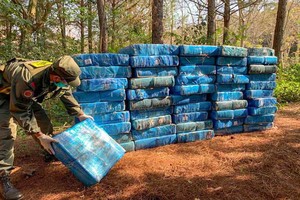 Télam Misiones: Mas de cuatro toneladas y media de marihuana fueron secuestradas por Gendarmería Nacional, entre malezas en un un paraje cercano a la localidad misionera de Puerto Rico,