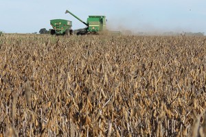 ELLITORAL_343277 |  Archivo El Litoral