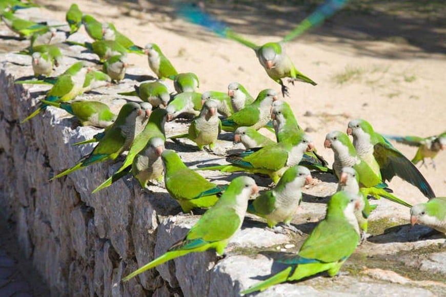 ueJcRbvnY_870x580__1