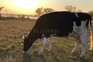 ELLITORAL_361293 |  Gentileza La foto que utilizaron para el saludo.