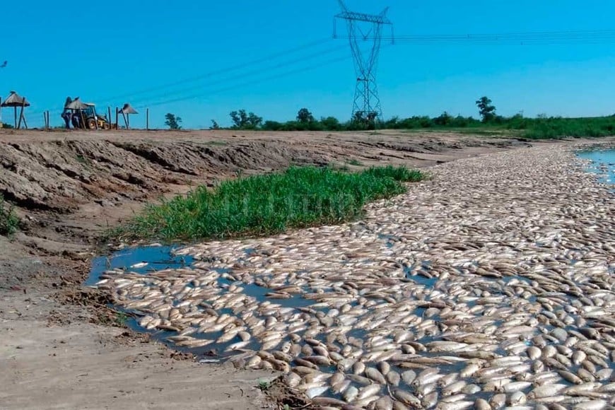 ELLITORAL_341824 |  El Litoral