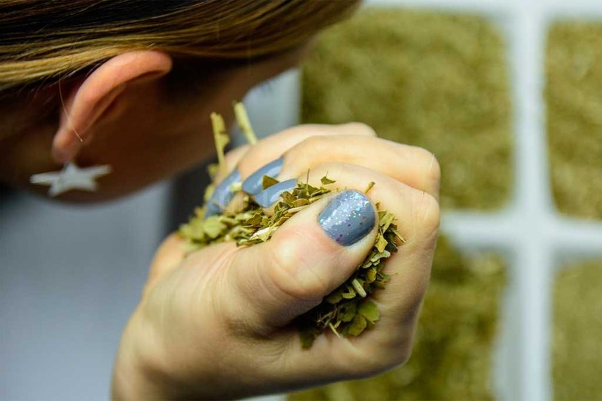 ELLITORAL_252204 |  Gentileza