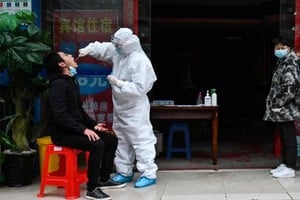 ELLITORAL_301572 |  Gentileza