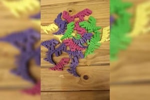 ELLITORAL_319699 |  Gentileza