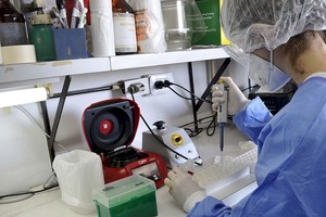 ELLITORAL_314561 |  "SCOTTI RICARDO                      " La Plata: Médicos y bioquímicos que a diario se exponen al contagio de coronavirus al trabajar en uno de los 32 laboratorios de diagnóstico de la provincia de Buenos Aires, que lidian con la angustia y el estres de evitar el contaminarse, piden a la población que mantengan las medidas de prevención ya que hasta que no aparezca una vacuna habrá que convivir con el coronavirus por lo que aseguran que "el barbijo vino para quedarse". Foto: Eva Cabrera