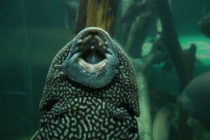 ELLITORAL_344336 |  La Capital