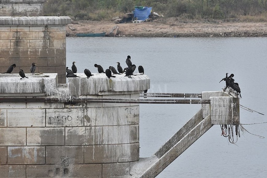 ELLITORAL_390691 |  Guillermo Di Salvatore