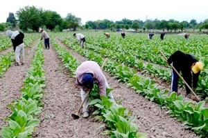 ELLITORAL_382136 |  Gentileza