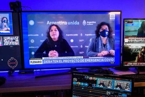 ELLITORAL_376103 |  Gentileza Vilma Ibarra y Carla Vizzotti participaron de manera virtual en la reunión del Senado.