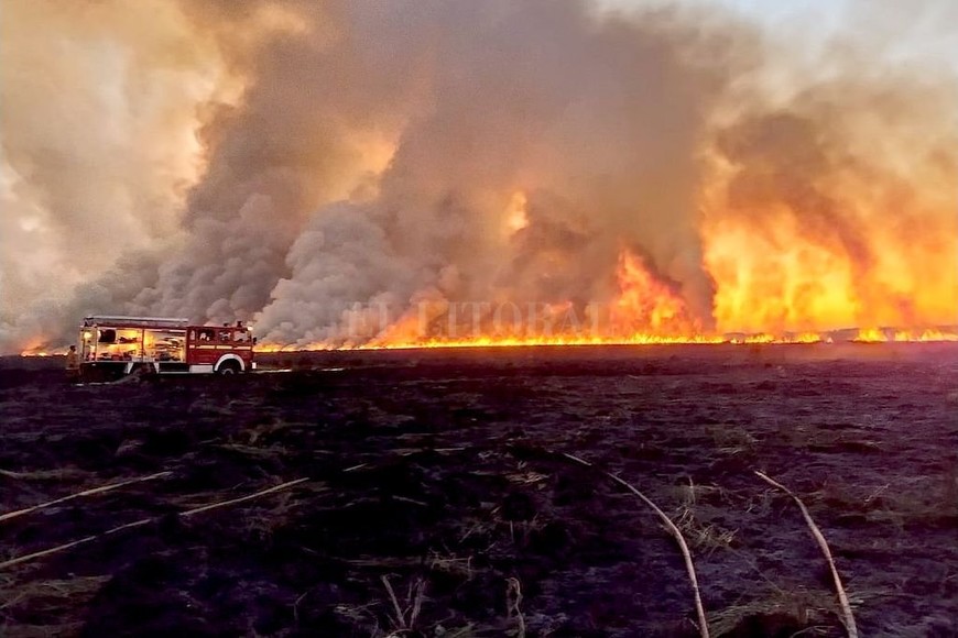 ELLITORAL_287888 |  Telam También combatían un incendio forestal en Baradero.