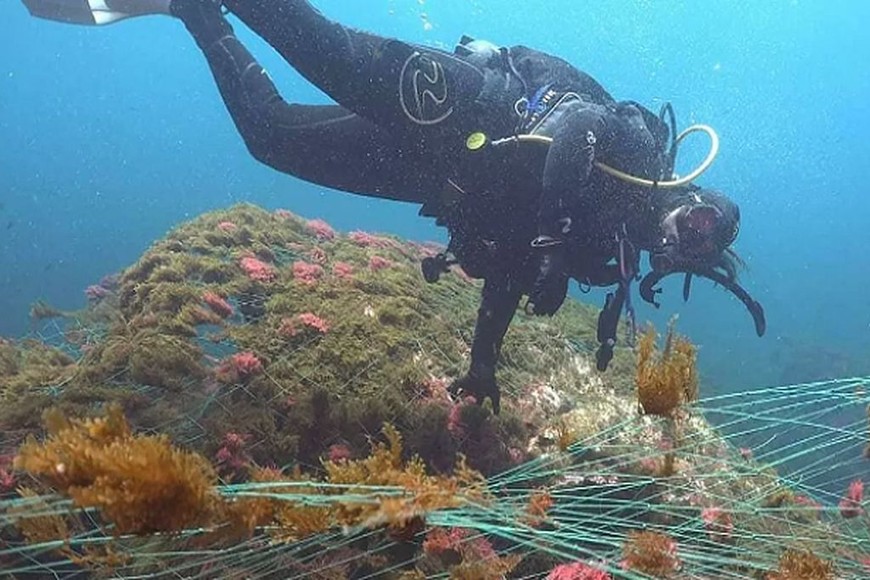 ELLITORAL_397975 |  Equilibrio Marino Los buzos retiran las redes de pesca del arrecife