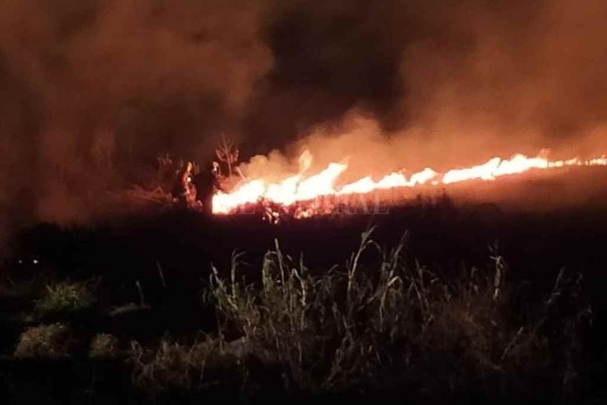 ELLITORAL_317839 |  Marcelo Manera Bomberos. La labor incansable es insuficiente si no hay una toma de consciencia de parte de quienes prenden el fuego.