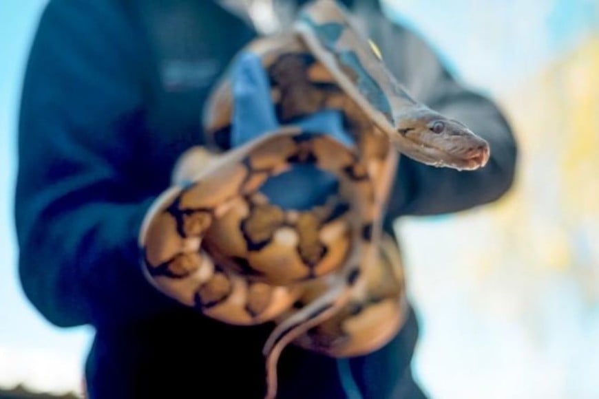 ELLITORAL_403155 |  Gentileza