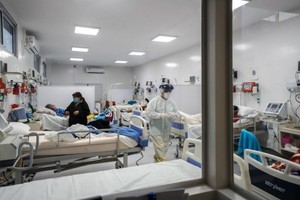 ELLITORAL_369605 |  Gentileza