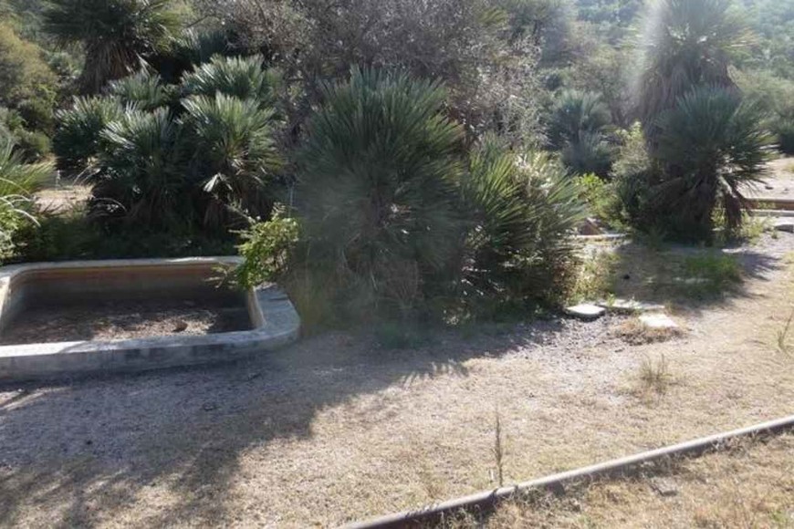 ELLITORAL_403217 |  Gentileza