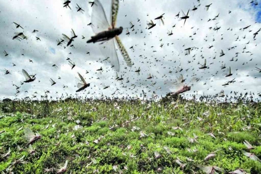 ELLITORAL_309875 |  Imagen ilustrativa