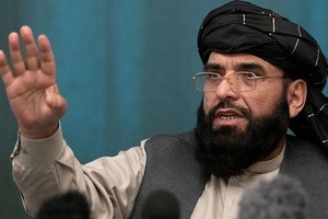 ELLITORAL_401390 |  AP Suhail Shaheen, portavoz de los talibanes