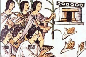 ELLITORAL_379258 |  Archivo El maíz fue tan importante para la cultura americana que el PopolVuh cuenta que el hombre nació del maíz.