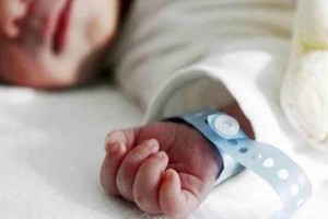 ELLITORAL_311927 |  Imagen ilustrativa