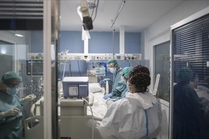 ELLITORAL_354533 |  Gentileza