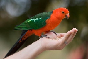 ELLITORAL_403240 |  Picture Alliance