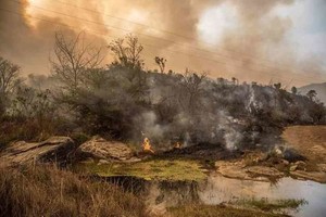 ELLITORAL_327837 |  Gentileza