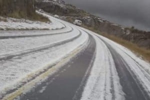 ELLITORAL_371575 |  Gentileza