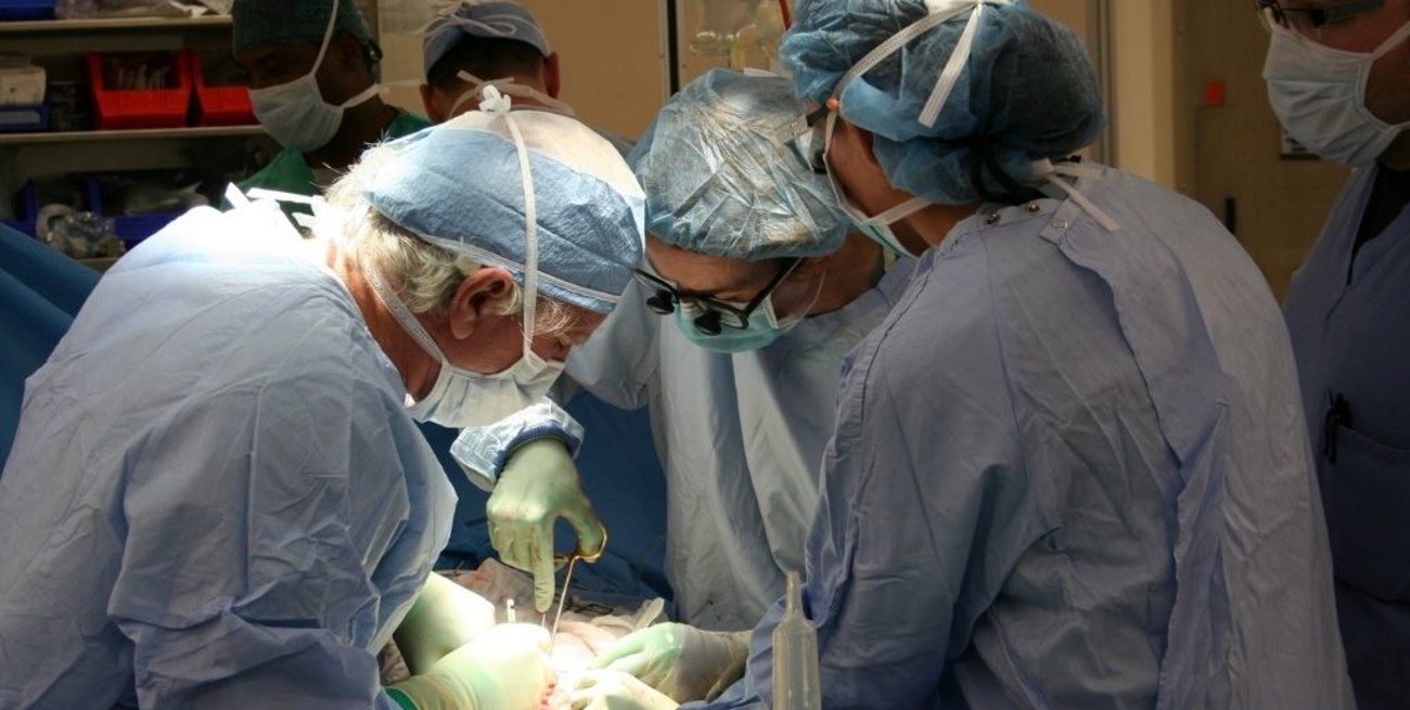 En lo que va del año se realizaron más de mil trasplantes de órganos