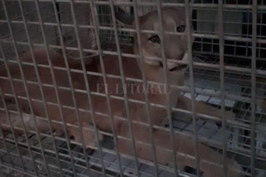 ELLITORAL_313113 |  Gentileza