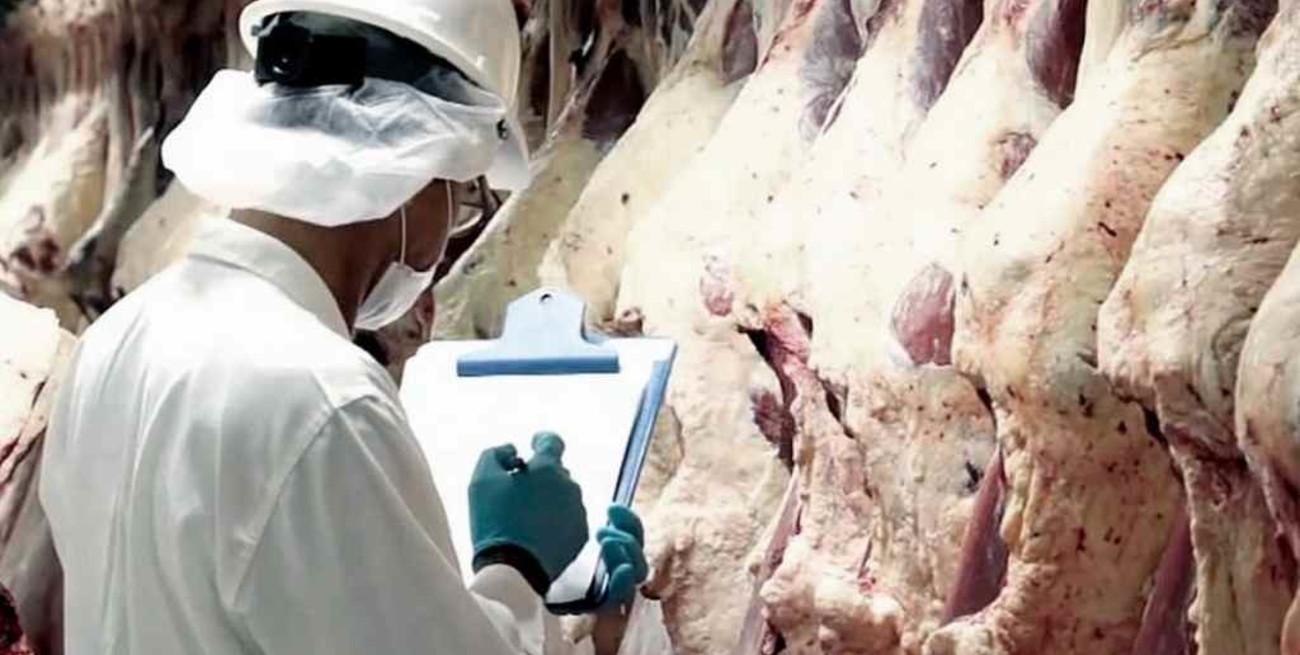 Expectativas por que se flexibilice el cepo a las exportaciones de carne 