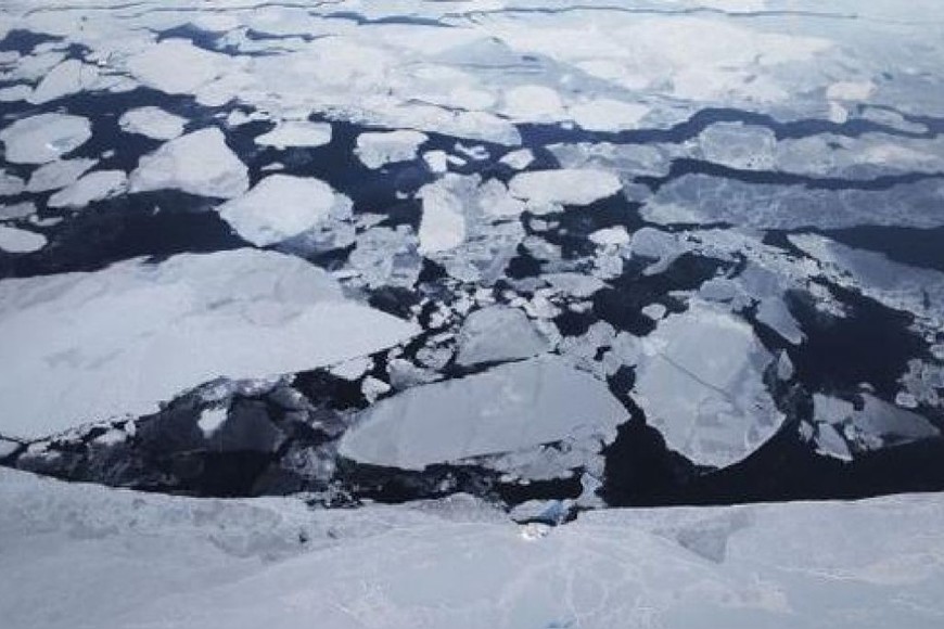 ELLITORAL_401425 |  Gentileza