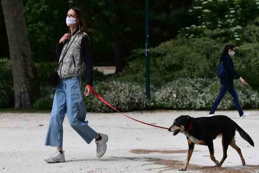 ELLITORAL_342837 |  Imagen ilustrativa