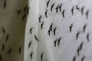 ELLITORAL_378078 |  Imagen ilustrativa