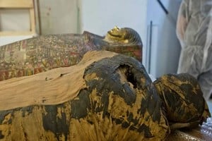 ELLITORAL_373485 |  Warsaw Mummy Project
