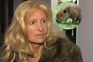 ELLITORAL_399511 |  Captura de pantalla