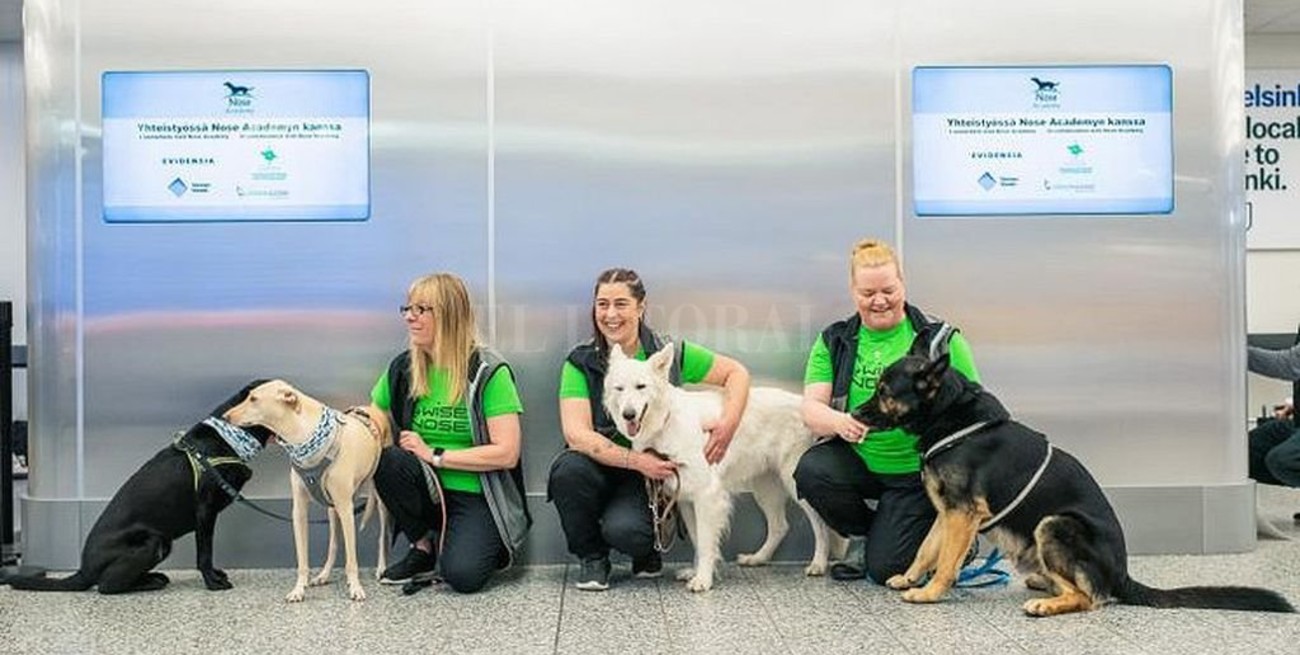 Detectan casos de coronavirus con perros rastreadores en un aeropuerto de Finlandia